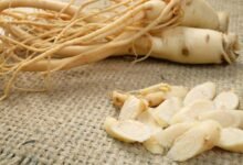 Ginseng