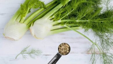 Fennel Seeds